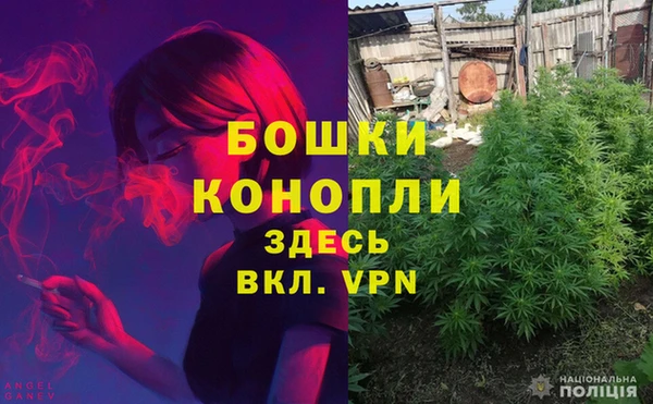 мдпв Кинешма