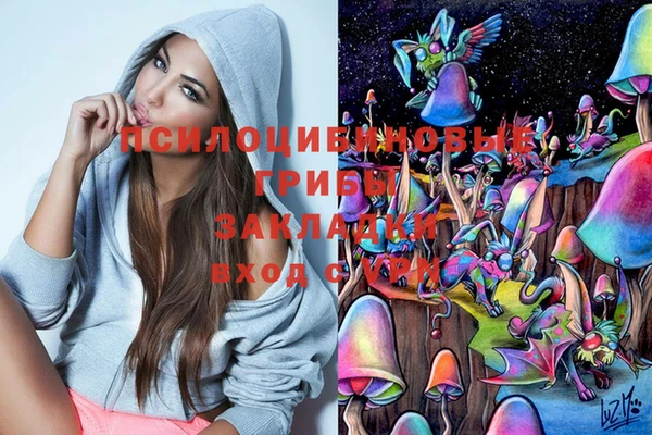 a pvp Киреевск