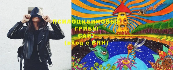 мдпв Кинешма