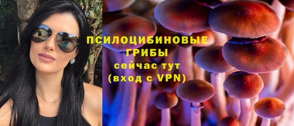 a pvp Киреевск