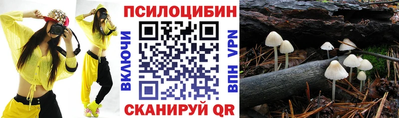 Псилоцибиновые грибы ЛСД  Купить закладки  Высоцк 